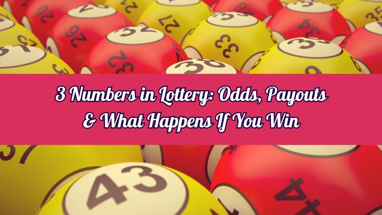 3 Numbers in Lottery: Odds, Payouts & What Happens If You Win