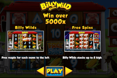 Billy Gone Wild Slot Bonus