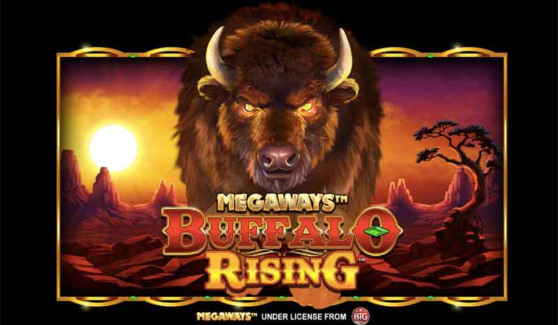 Buffalo Rising Megaways Review