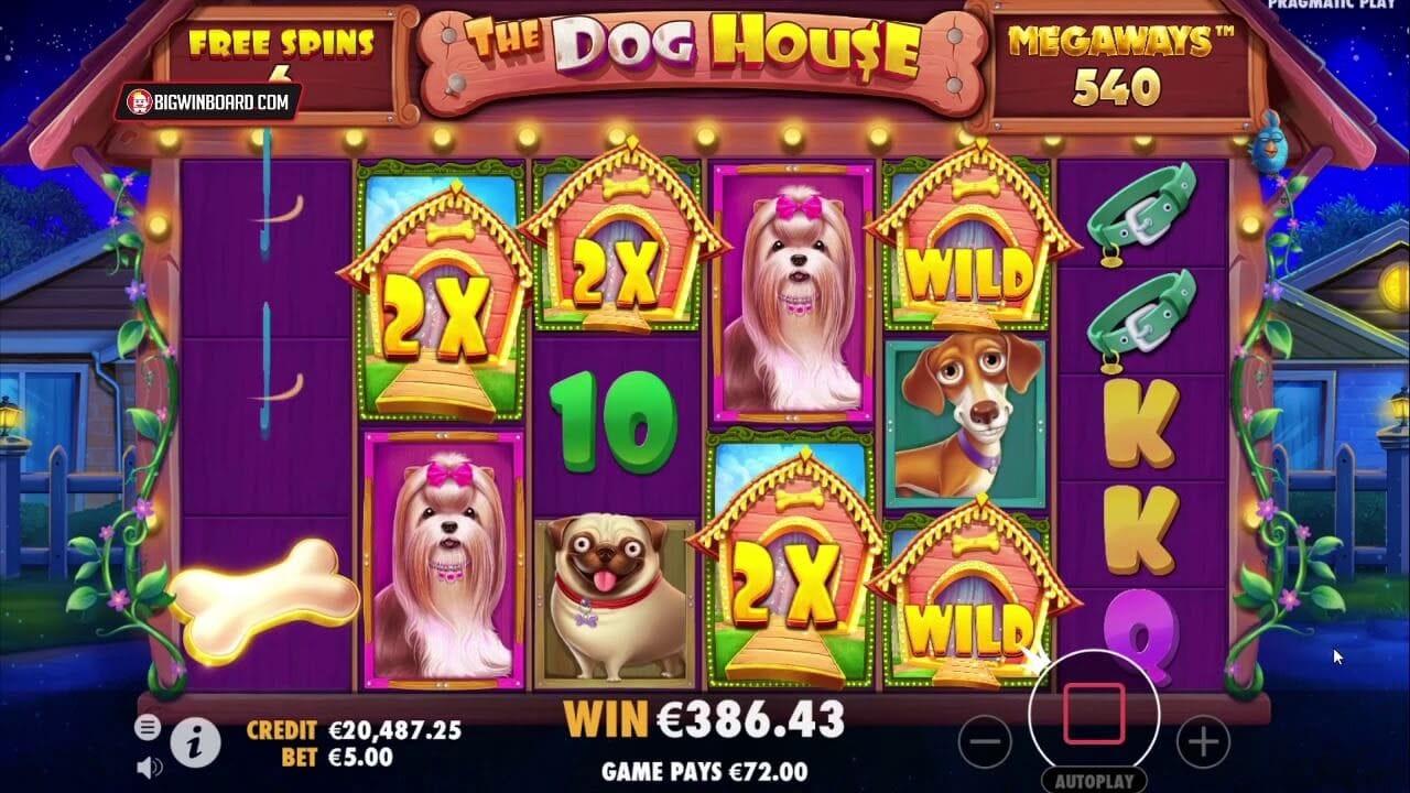 Dog House Megaways Slot Gameplay