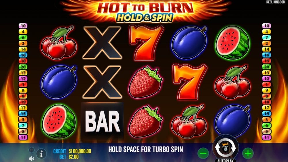 Hot To Burn Hold & Spin Slot Reels