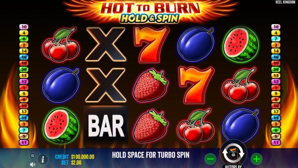Hot To Burn Hold & Spin Slot Reels