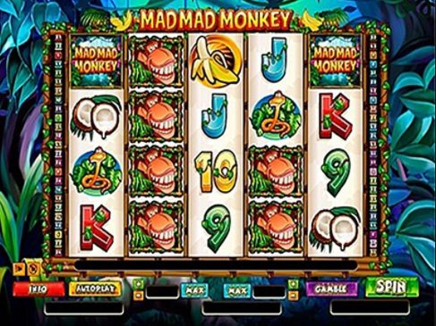 Monkey