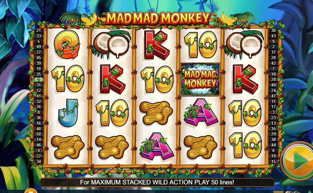 Mad Mad Monkey Slots Game Gameplay