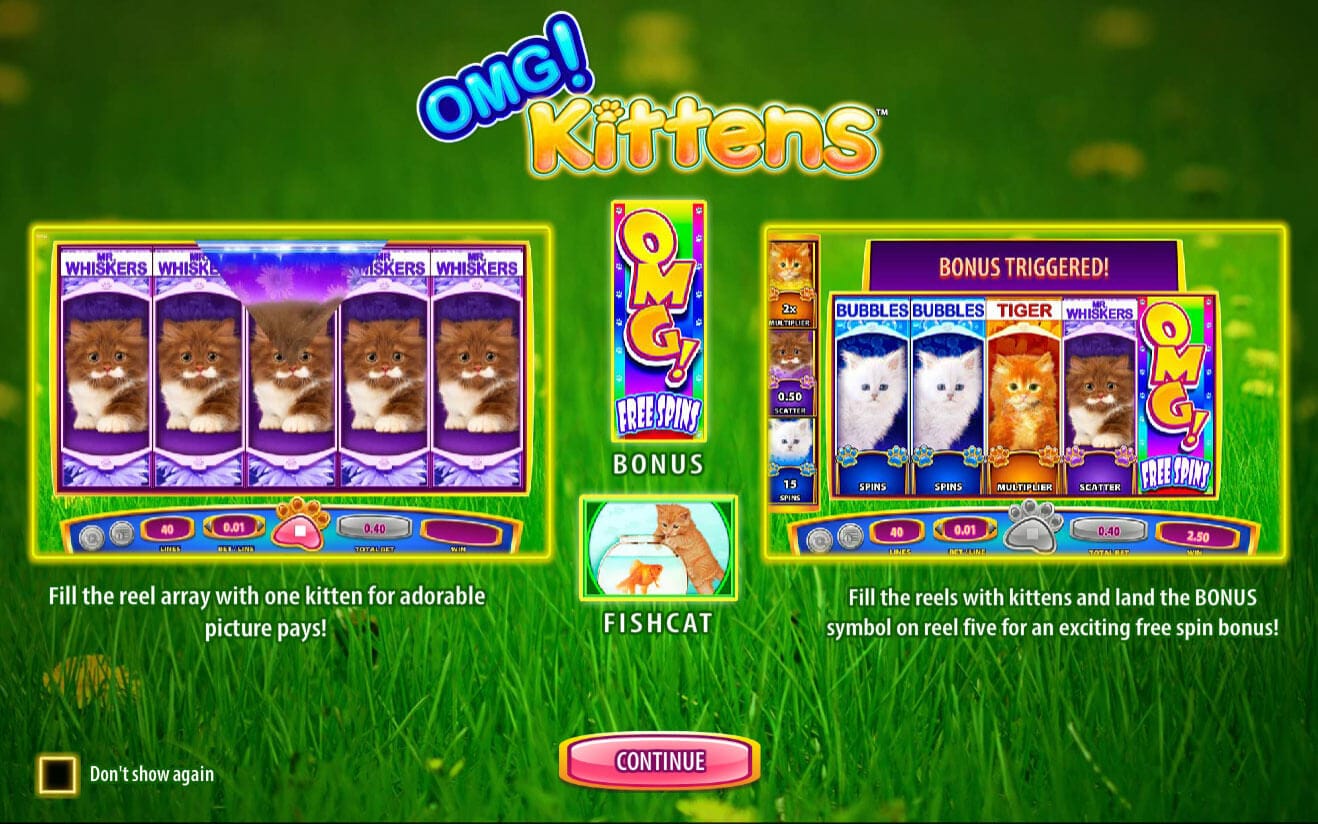 OMG Kittens Bonus