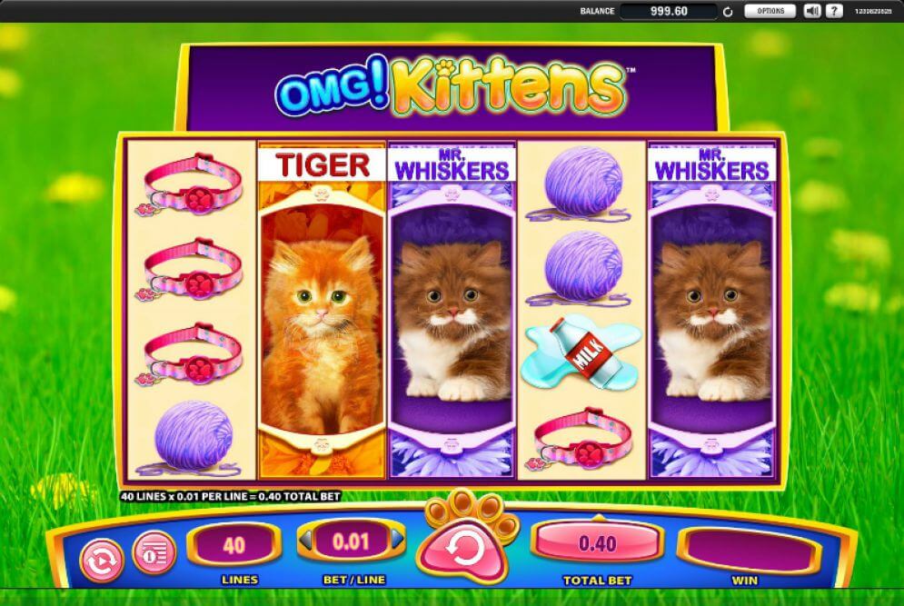 OMG Kittens Gameplay