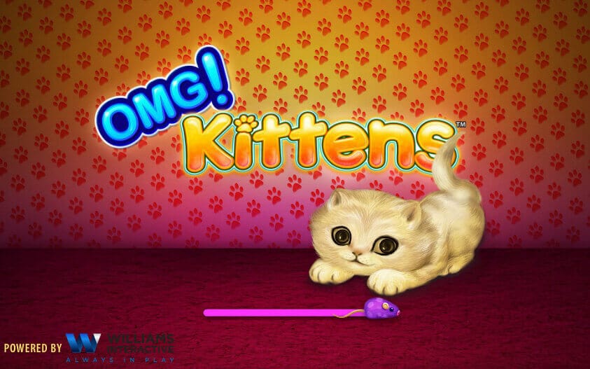 OMG Kittens Review