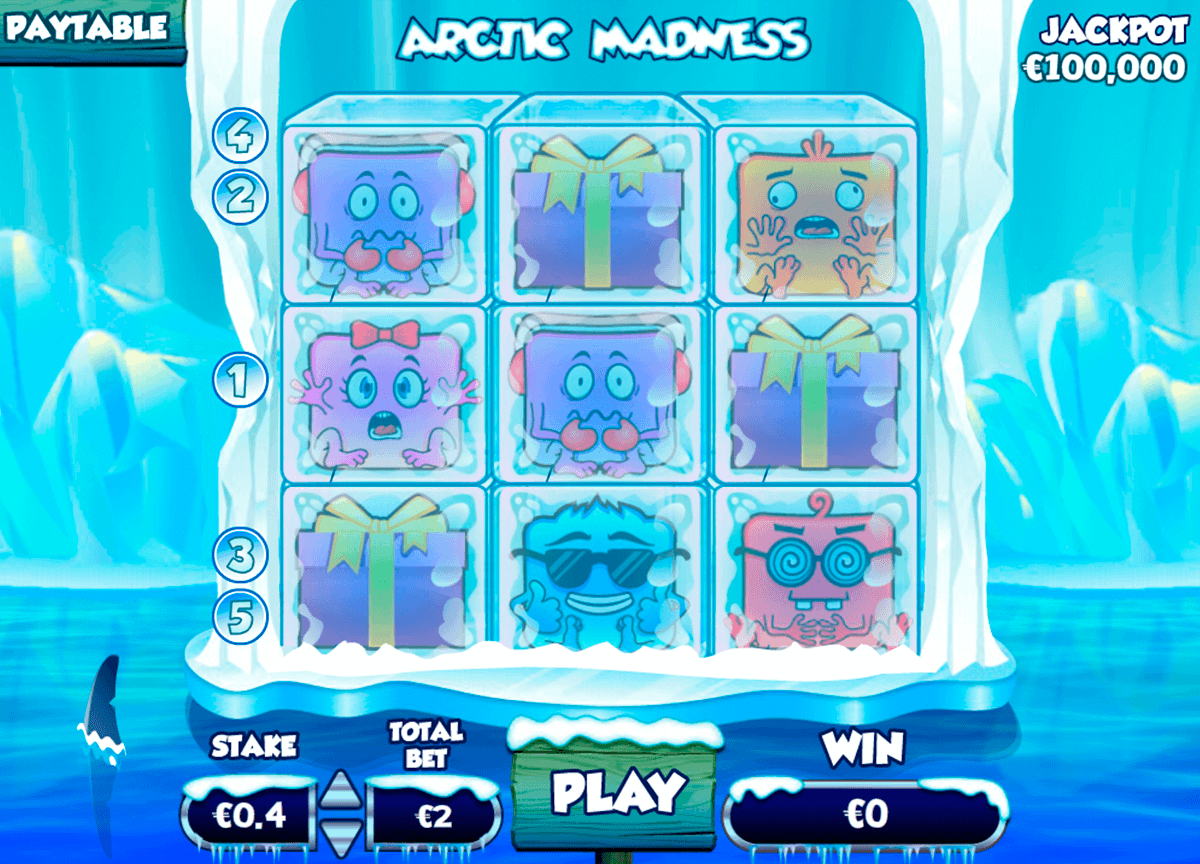 Arctic Madness Gameplay