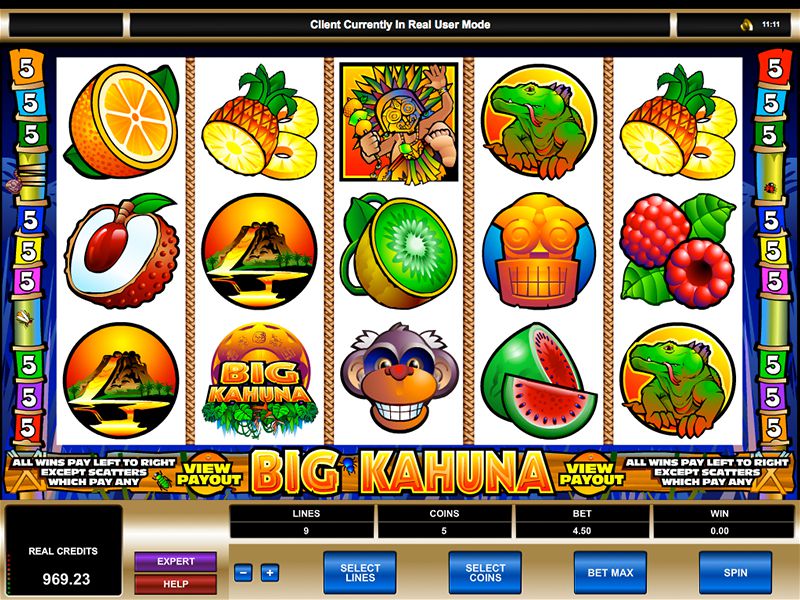 Big Kahuna Slot Game Gameplay