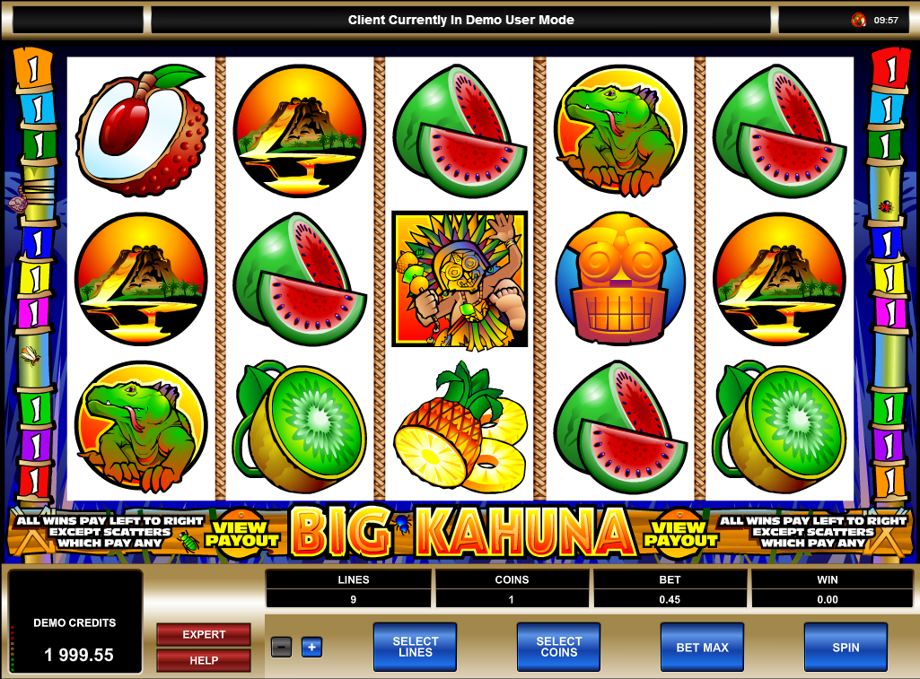 Big Kahuna Slot Game Screenshot