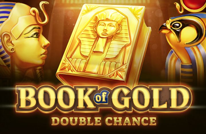 Book of Gold Double Chance Cover Image