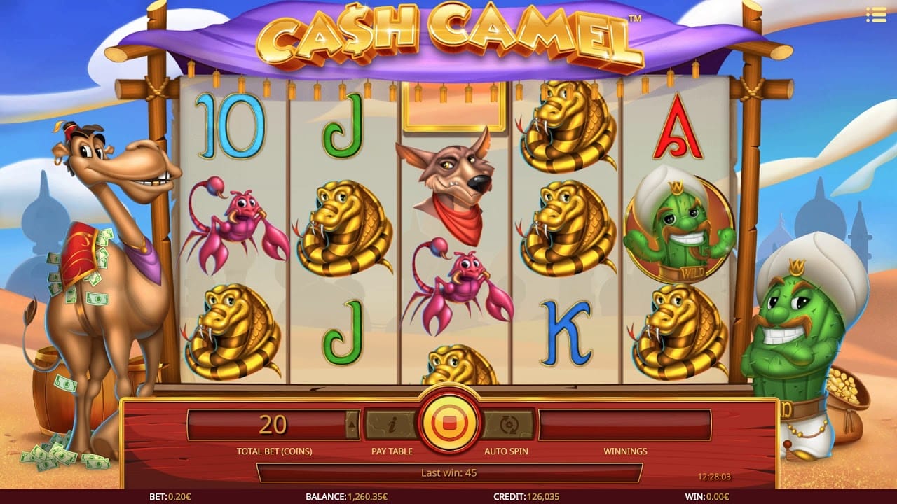 cash camel gameplay