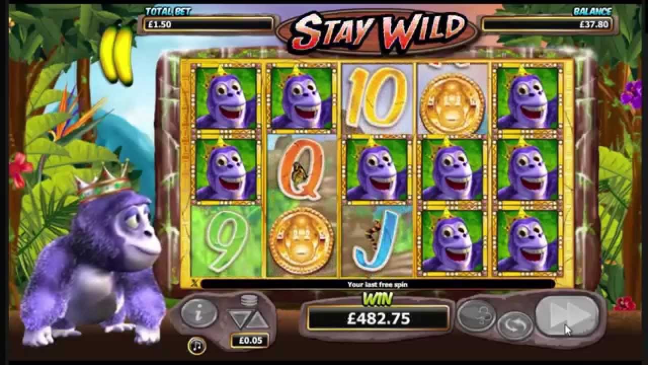 Gorilla Go Wild Screenshot