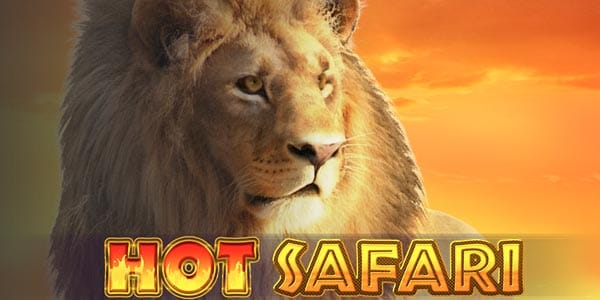 hot safari slots game logo