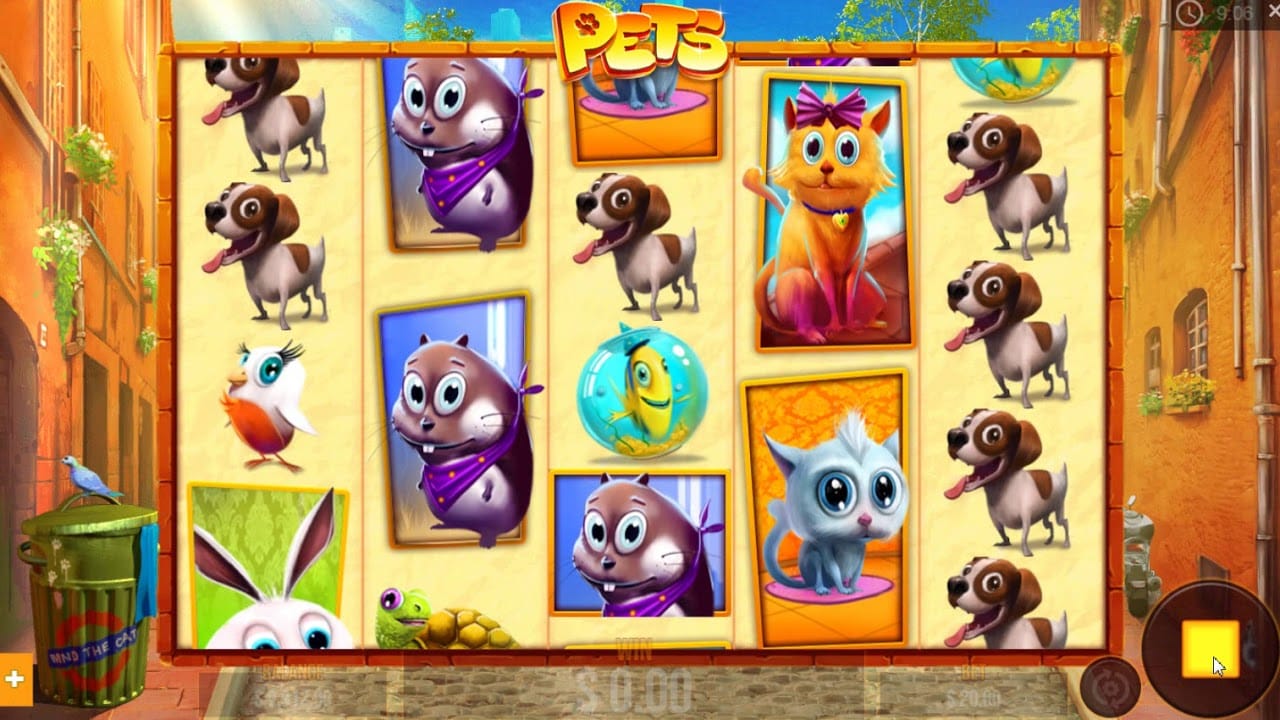 Pets Slot Game Gameplay