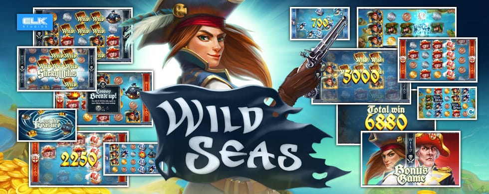 Wild Seas Logo